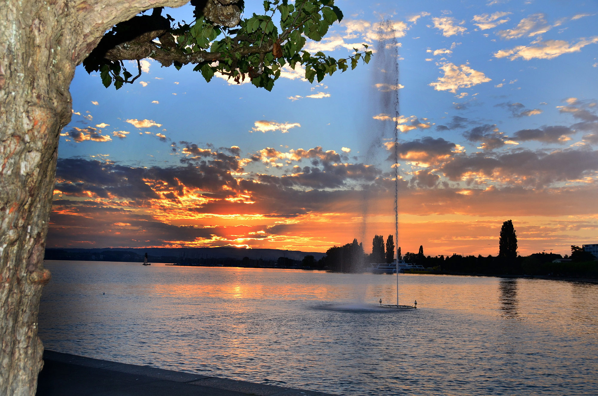 Zug